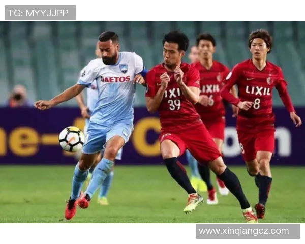 水户蜀葵与福冈黄蜂历史交锋记录分析及战绩回顾